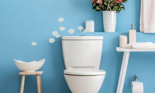 中國衛(wèi)浴潔具行業(yè)發(fā)展?fàn)顩r與展望